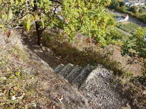 treppe